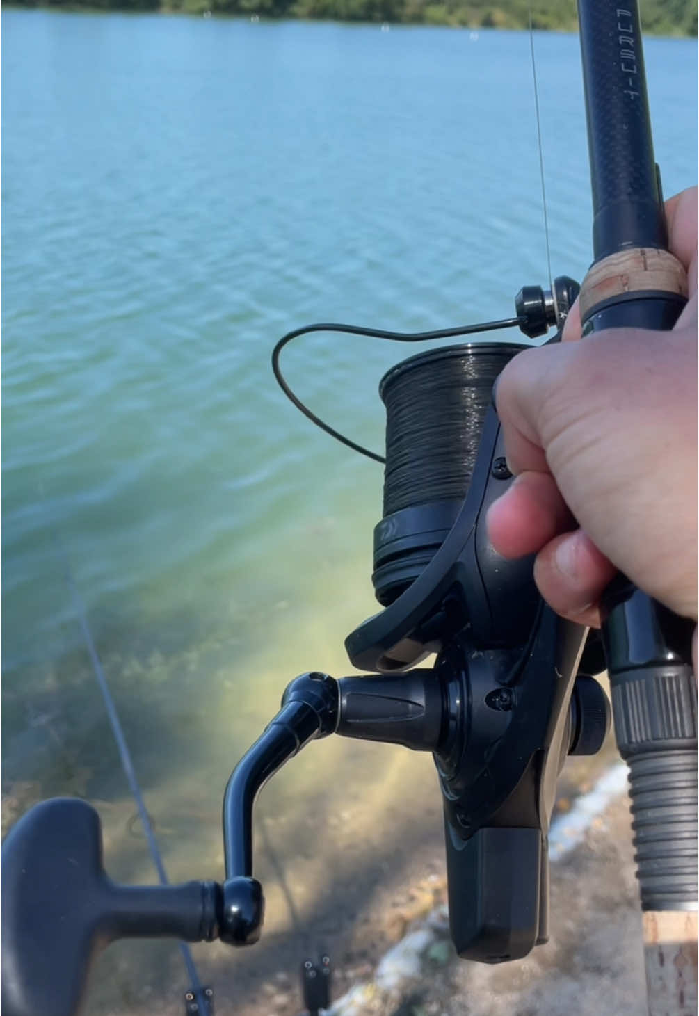 A post by @julien_josselin_scale on TikTok caption: 🚨Summer Run, memory🚨#carpfishinglife #carpfish #fishing #carpe #peche #poisson #fish #angler #pecheur #pechecarpe #carprun #karp #lake #bigfish #lakefishing #summer #naturevibes #nature #france #foryou