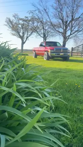A post by @charlie_6919 on TikTok caption: #cummins59 #fyp #wides 
