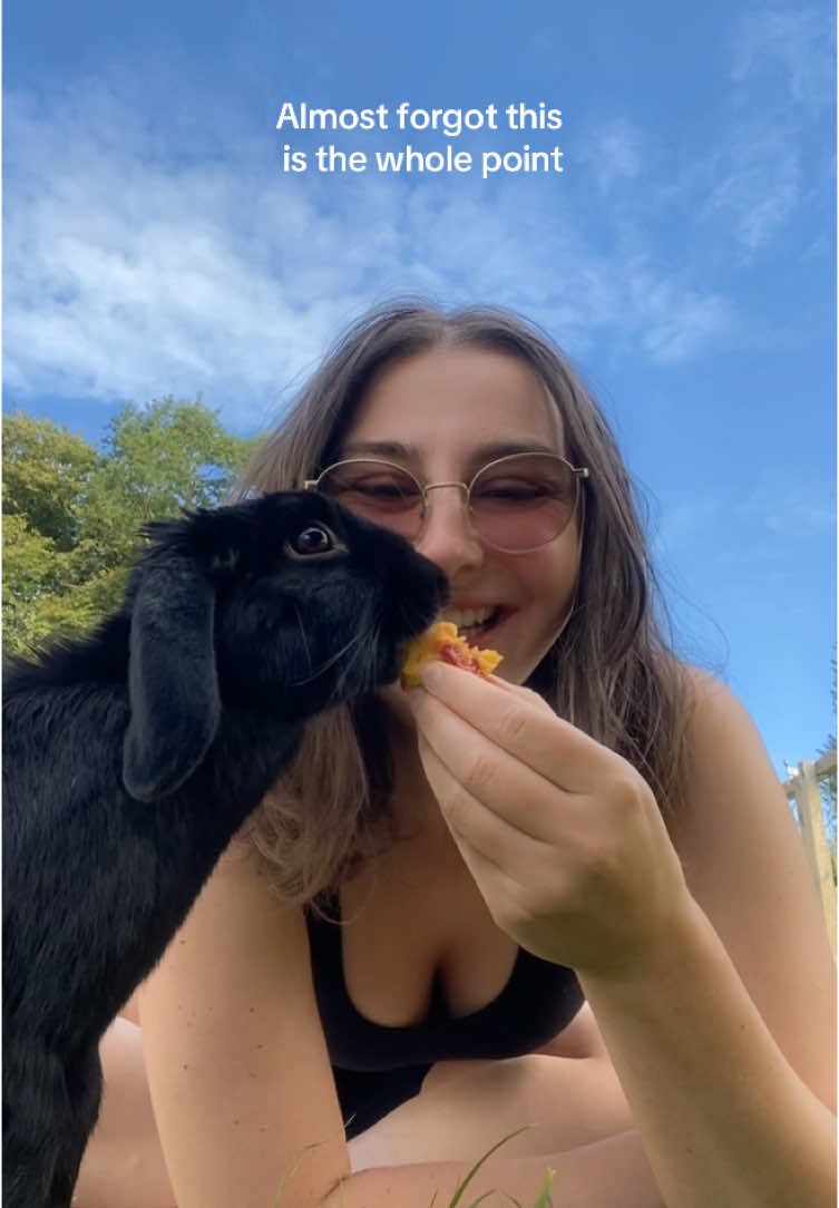 A post by @hazelnut_the_bunny on TikTok caption: The simple things like sharing a peach with your greedy bunny.  🍑🍑🍑 #almostforgot #rabbitsoftiktok 