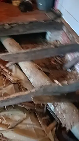 A post by @dadlife1 on TikTok caption: another floor gotta get replaced let's get it done