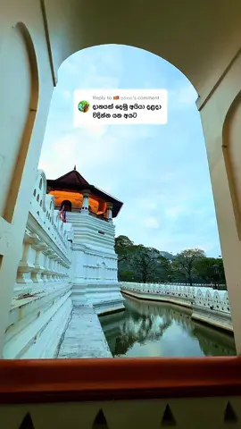 A post by @wildcookbook on TikTok caption: Replying to @🇱🇰 අනිත්‍ය  ඔබ සැමට පින්බර වෙසක් පොහෝ දිනක් වේවා! 🙏  #wildcookbook 