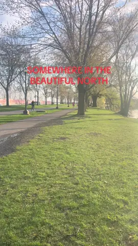 A post by @ on TikTok caption: It’s beautiful out there.