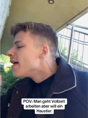 A post by @justinklck on TikTok caption: Silberfische sind auch gute Haustiere  #Handwerk#Baustelle#2beine2steine#funny#witzig#Viral#fyp#comedy#gurke   
