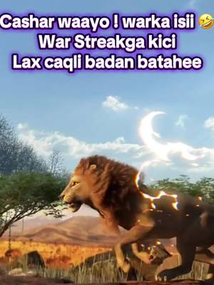 A post by @man_the_legend on TikTok caption: #streak #somalitiktok #somali #fyp #usatiktok🇺🇸 #funny #streakjebiso #iconicman01 