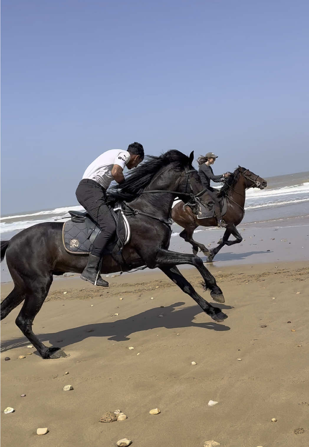 A post by @essaouirahorseparadise on TikTok caption: Let’s go!!!! Best horses, best beaches, best life ❤️🇲🇦🐎 👉🏼 We are a Travel Agency based in Essaouira (Morocco). Join us for an unforgettable horseride holidays. Ride the best horses in town, and meet the best team of riders.  . . . . . . #horses #horsesoftiktok #horse #horsetok #equestrian #fyp #cheval #fypage #viral #viralvideo #pferd #horsesontiktok #лошадь #horselove #essaouira #morocco #lovak #caballos #cavalli #horsegirl #horsesoftiktok 