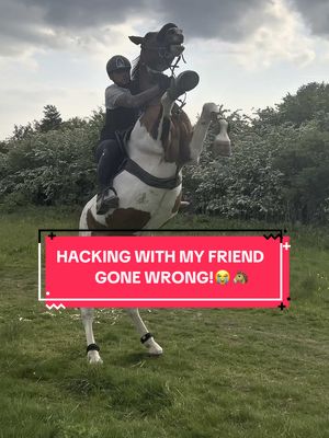 A post by @demirtopzz on TikTok caption: DID THAT ACTUALLY HAPPEN!?😱🐴@Joe Ashman #fyp #foryou #foryoupagе #equestrian #equestrianlife #horseboy #equestrianvibes #equine #horsegirl #horsesoftiktok #CapCut 
