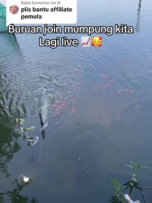 A post by @bang.udin.official_ on TikTok caption: Membalas @Inn M gasinn buruan