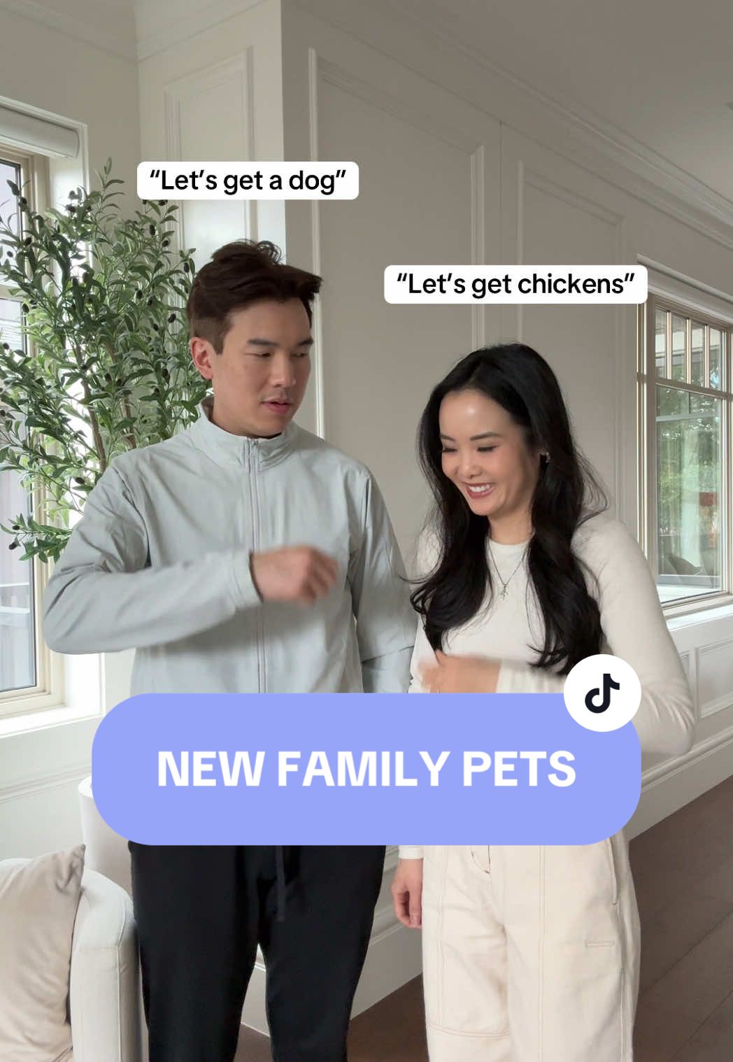 A post by @ongsquad on TikTok caption: He won the fight but he lost the war H/T: @Nick Wilkins #husbandvswife #happywife #happylife #silkiechicken #familypets 