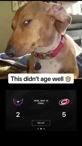 A post by @canes on TikTok caption: We love a storm surge ⛈️ #canes #nhl #playoffs #win 