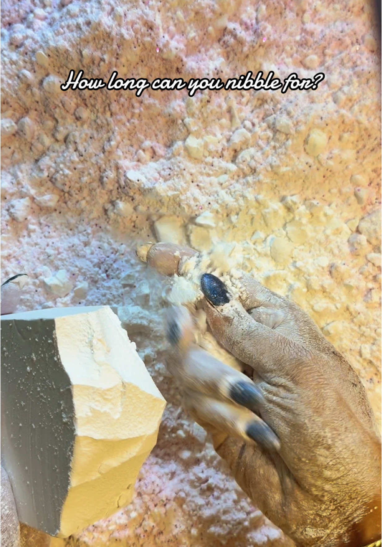 A post by @asmrlyyours on TikTok caption: Nibbling gym chalk #fypシ 