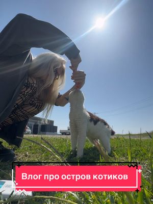 A post by @rayblos on TikTok caption: Из минусов: Михаил покраснел Из плюсов: коты сыты, кроме Ларри