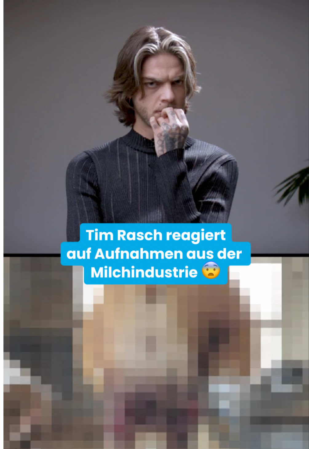 A post by @timrasch on TikTok caption: Ich wusste, dass es schlimm ist. Aber dieses Video hat mir gezeigt, wie brutal die Realität für Kühe in der Milchindustrie wirklich ist – ausgebeutet, gequält, getötet. Für ein Produkt, das wir nicht brauchen. Danke, dass ihr mir die Augen geöffnet habt. Ich habe hingeschaut. Ich habe verstanden. Und ich habe etwas verändert. Seit dem Veganuar lebe ich vegan – und ich würde nie zurückgehen. Schau auch du nicht weg. #Milch ist kein harmloses Produkt. Es steckt so viel Leid dahinter. #VeganForTheAnimals  
