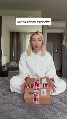 A post by @mirnaya_ru on TikTok caption: Муравьиная ферма!