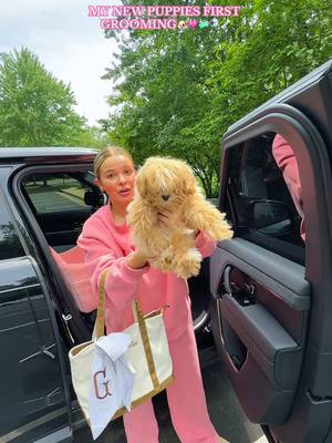 A post by @darcymcqueenyyy on TikTok caption: so ummm…. SHE’S BALD NOW😐✂️🐶🦴🎀 #dogmom #newpuppy #grooming #doggrooming #puppytok #maltipoo #fyp #groomingday #dogtok #puppies #newdogowner #girlmom #puppymom #vlog #storytime #comewithme #forthegirls #maltipoopuppy #groomingappointment #beforeandafter #transition #haircut #puppylife 
