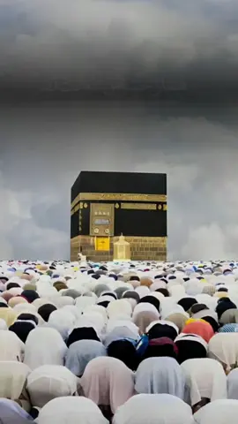 A post by @dalmar__8 on TikTok caption: فَإِذَا عَزَمۡتَ فَتَـــــــــــــــــــــــــــــــــوَكَّلۡ عَلَى ٱللَّهِۚ Go'aan HaDaa Gaartana ALLE Isku HaLee @🌻⚘️القران الكريم✨️🌻  الشيخ عبد الودود مقبول حنيف✔️  Abdul wadood haneef ❤️ 