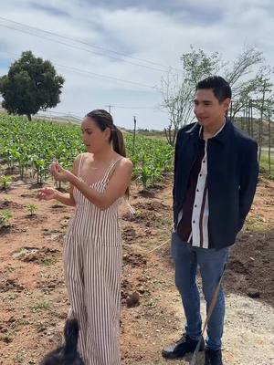 A post by @vasilvana1 on TikTok caption: #rancho @Rigo Villalobos 