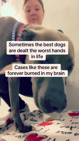 A post by @krista.1992 on TikTok caption: I’m not okay today #vetmed #foryou #veterinarymedicine #worklife #fortheloveofdogs 