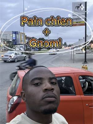 A post by @eldanieloff on TikTok caption: Pain chien + gnomi à Abidjan 😁