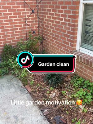 A post by @donnamendoza35 on TikTok caption: I’ve put this off way too long. #garden #motivation #flowers #plants #gardening #homeimprovement #fy #better #happy 