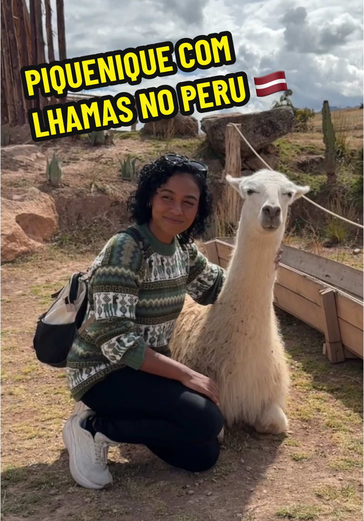 A post by @palomasouza.s on TikTok caption: acho que tô apaixonada por uma lhama 😳  A @Machu Picchu Perú Tours que esteve com a gente durante todo o nosso dia e organizaram tudo, foram divos demais! ✨ #peru 🇱🇻