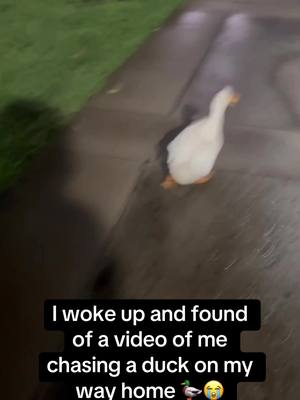A post by @pubity on TikTok caption: This is how I run in my dreams 🤣🤣 #RoadTo18M #Pubity  (Via: Collab)
