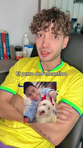 A post by @nandoweee on TikTok caption: ¿Cómo no voy a estar triste? 💔