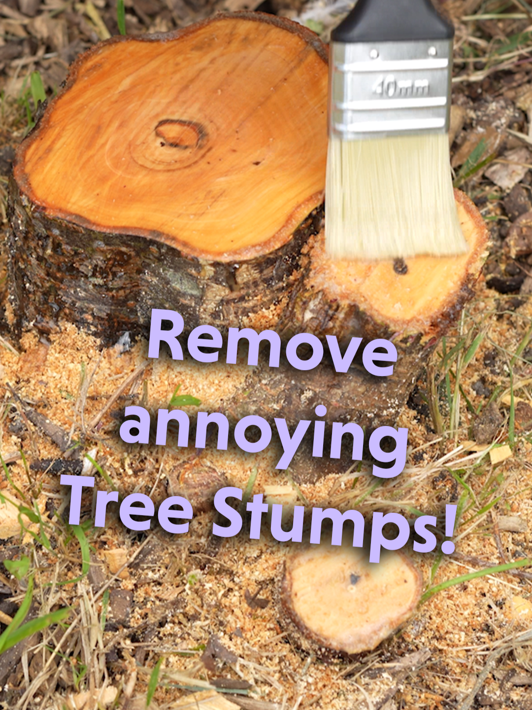 A post by @consumesense on TikTok caption: Remove those annoying Tree Stumps! #amazon #amazonfinds #amazonfinds2025 #sbk