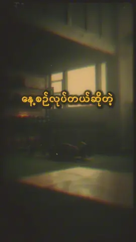 A post by @pyaykhaing on TikTok caption: ကောင်းမွန်တဲ့အလေ့အကျင့်တွေကို တစ်ရက်လေးတောင်အပျက်မခံပါနဲ့ ချစ်ခြင်းအားဖြင့် ပြေခိုင် #PyayKhaing