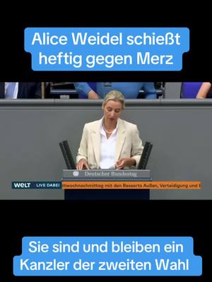 A post by @svenhaemischafd on TikTok caption: #afd #unserlandzuerst #mutzurwahrheit #deutschland #2025 #kanzler #merz #bundestag 