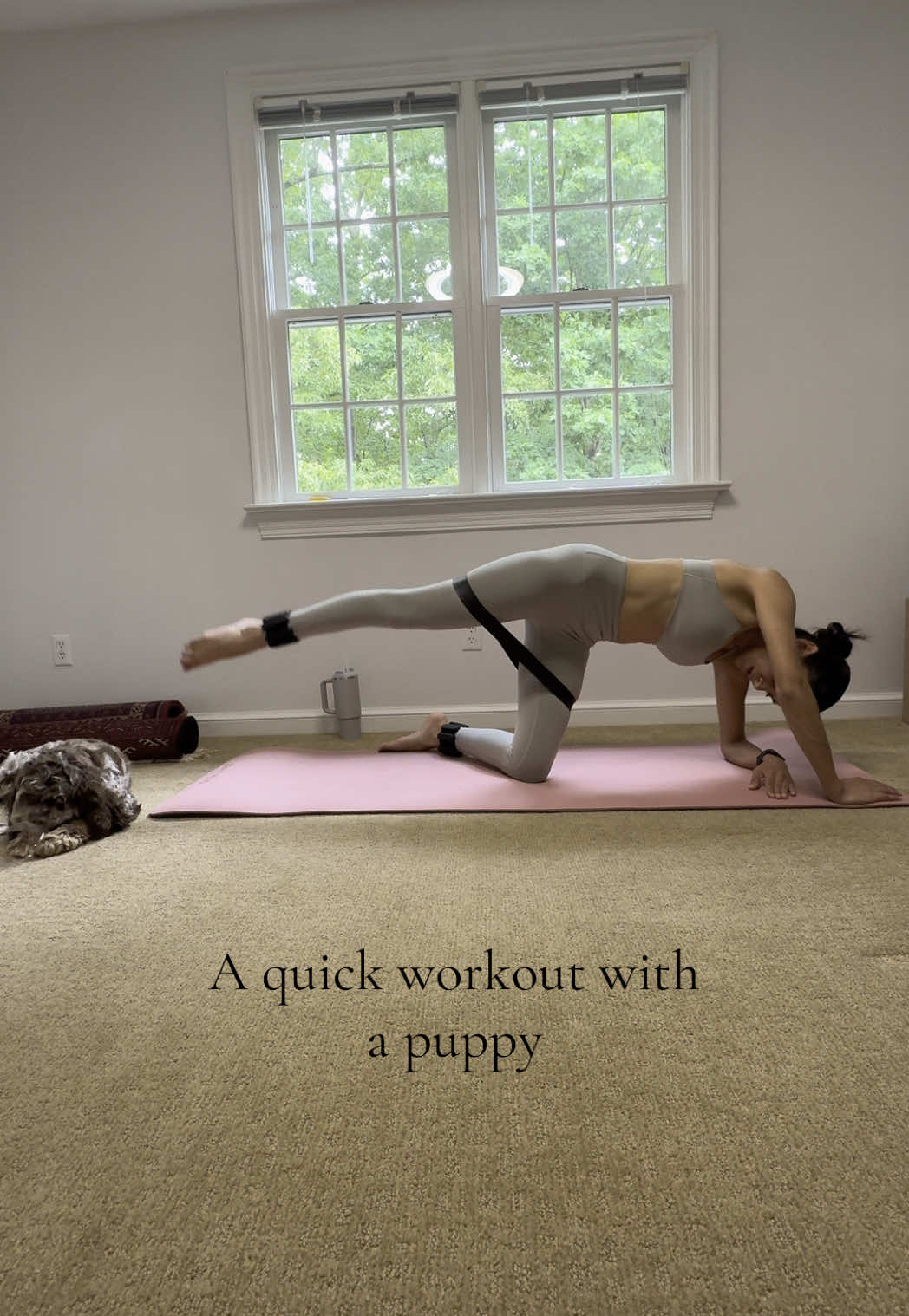 A post by @taruuuhhh on TikTok caption: No one said working out is easy, but thank god for my puppy to keep me company while he lives his best unbothered life. #puppy #fyp #puppytiktok #puppylife #healingjourney #trauma #ptsd #recovery #positivity 