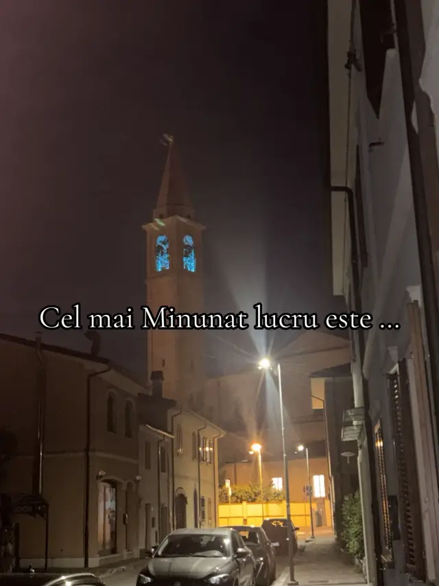 A post by @alinasorinamuresan on TikTok
