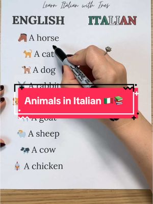 A post by @ines.tutoring on TikTok caption: Animals in Italian 🇮🇹📚