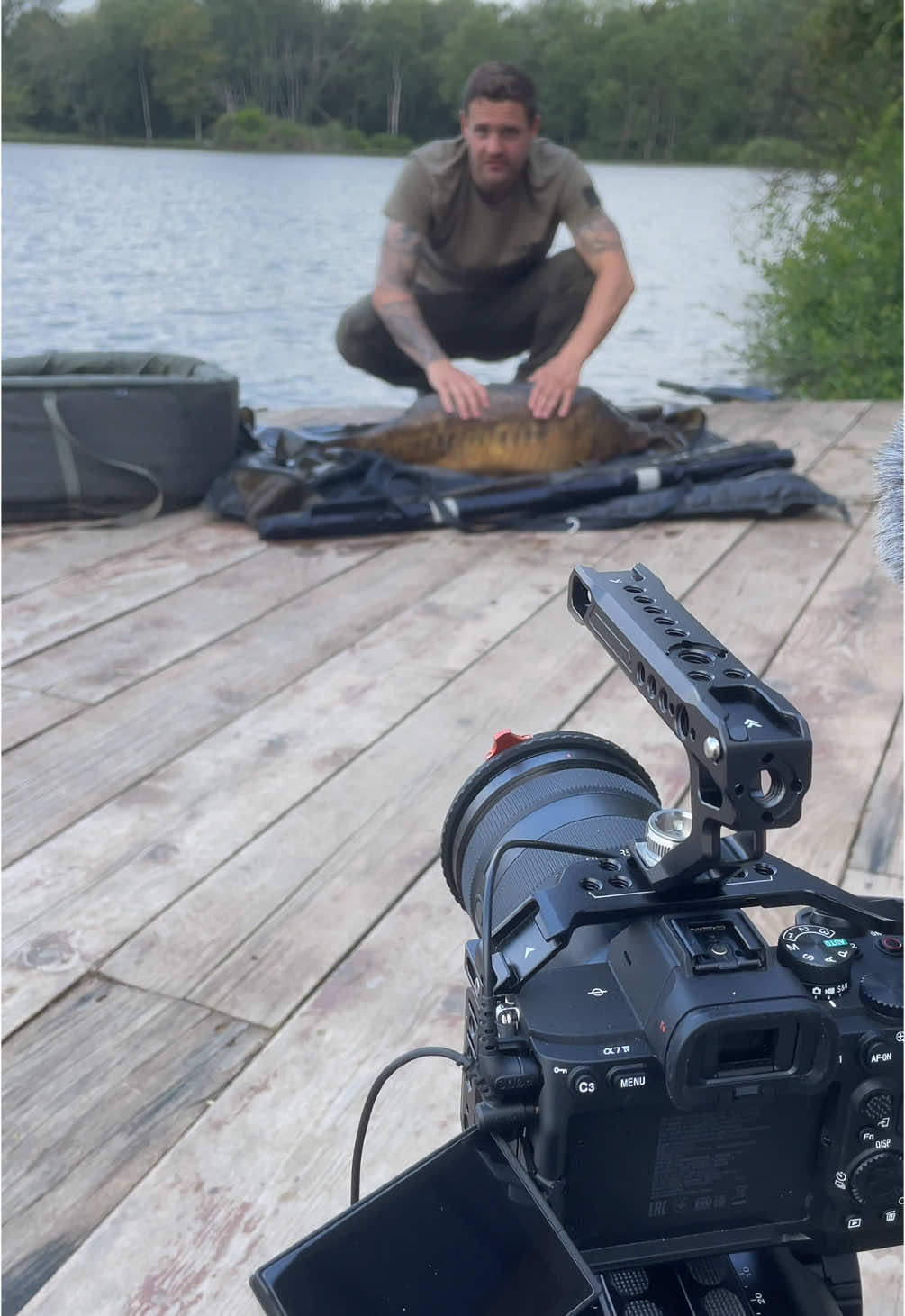 A post by @julien_josselin_scale on TikTok caption: Une pépite sous les projecteurs ! ✨ ▪️ #lakefishing #spring #printemps #carp #carpe #bigcarp #bigfish #bigone #fish #poisson #carpfishing #pechedelacarpe #angler #pecheur #fishing #peche #photography #dji #mini4pro #lightroom
