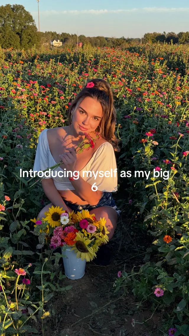 A post by @glittermemadi on TikTok caption: Plz tell me what this means 😌 #astrology #big6 