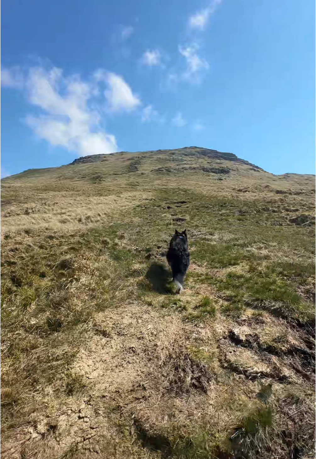 A post by @robynmilne06 on TikTok caption: Get me on the Munro tok now pls hehe x #munros #lochlomond #iambaggingthemunros #scotland #outdoors #hiking #solo 