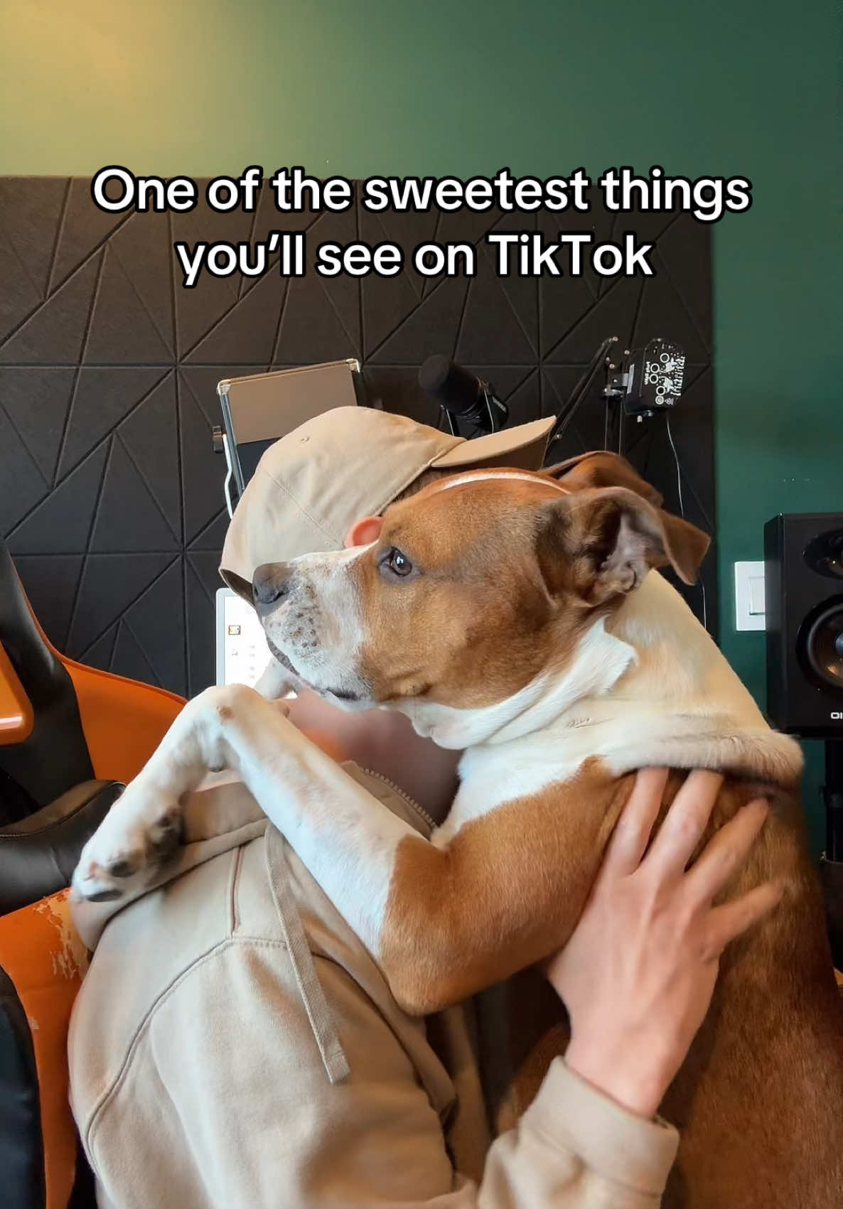 A post by @whenericmetseb on TikTok caption: When you’re a dog person, but you also love sweet cakes 🍑🧁 @Sebastian 🦀 @Eric Flick 🤴🏻 #fypシ゚viral #dogs #doglover #dogsoftiktok #boyfriend #lgbt🌈 #lgbt🏳️‍🌈 #couplecomedy #couples #fyp 