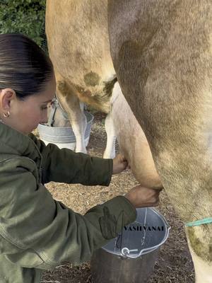 A post by @vasilvana1 on TikTok caption: #rancho video completo lo subiré  en mi canal de YouTube 