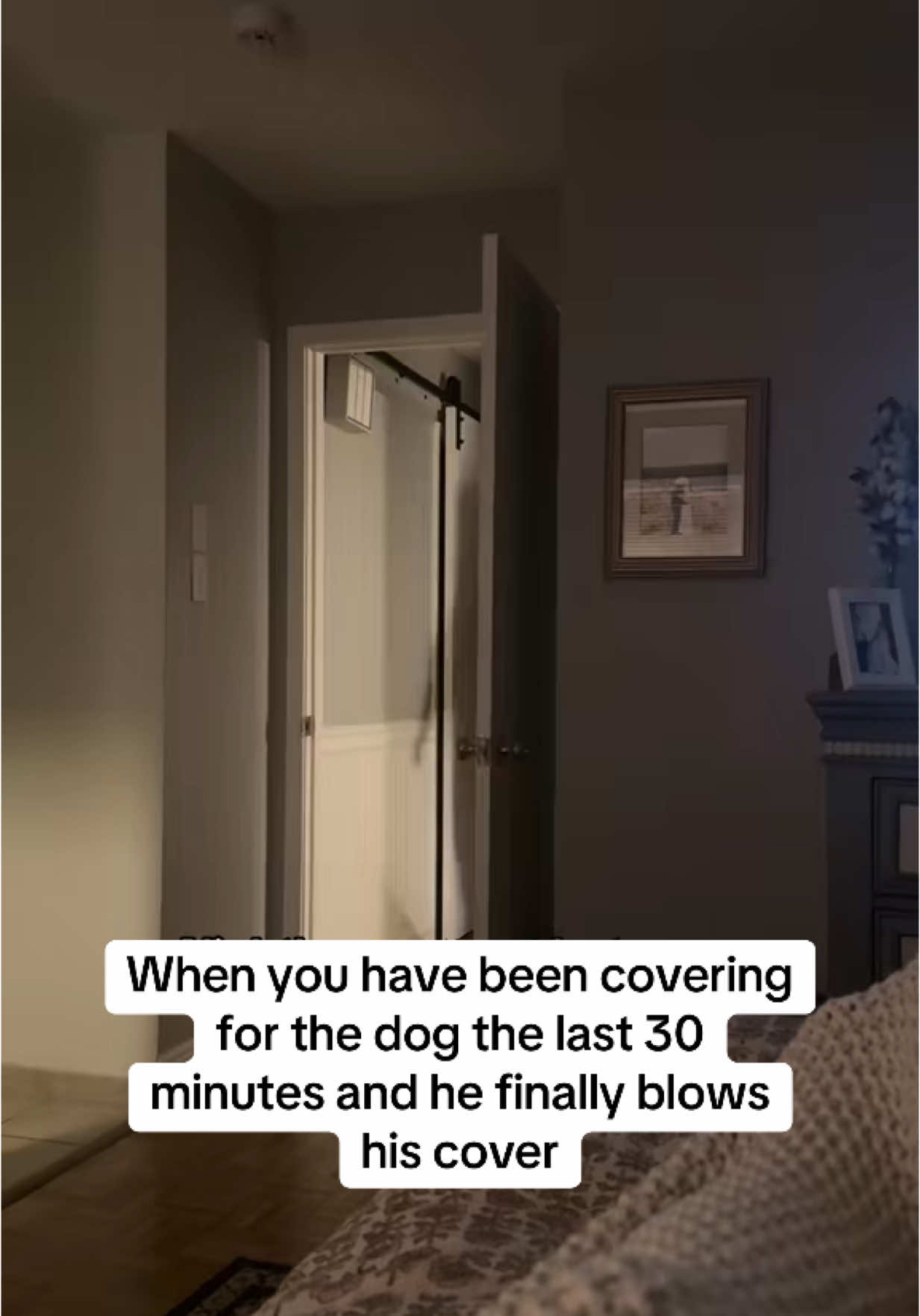 A post by @wyattthegsp on TikTok caption: No one messes with the Waynes #wyattthegsp #foryoupage #fyp 