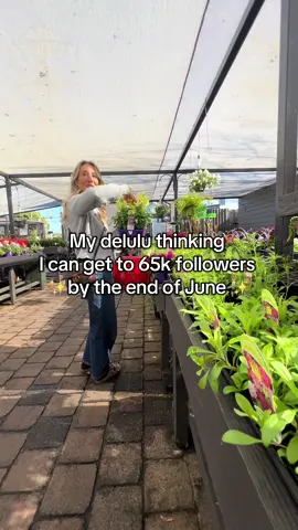 A post by @kia_urbangardener on TikTok caption: My delulu is actually bigger than just a number of followers!  I’m ✨Manifesting✨ being able to work FT as a content creator, helping beginner gardeners grow amazing food and inspiring others to slow down, reconnect with themselves while still working towards their dreams. I’ve never told the world of TikTok what my long term vision is so if you’ve read this far - please tell me in the caption what your delulu is ✨❤️ If you’re one of the followers - thank you 🙏🏻  #girlssupportgirls #teamwork #delulu #fyp #garden #gardeners #gardengirl 