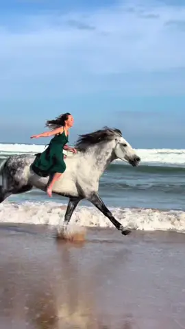 A post by @essaouirahorseparadise on TikTok caption: There’s a freedom you feel on a horse that you experience only once in a lifetime, and never forget. 🫶🏼 Nina & Amigo  👉🏼 We are a Travel Agency based in Essaouira (Morocco). Join us for an unforgettable horseride holidays. Ride the best horses in town, and meet the best team of riders.  . . . . . . #horses #horsesoftiktok #horse #horsetok #equestrian #fyp #cheval #fypage #viral #viralvideo #pferd #horsesontiktok #лошадь #horselove #essaouira #morocco #lovak #caballos #cavalli 