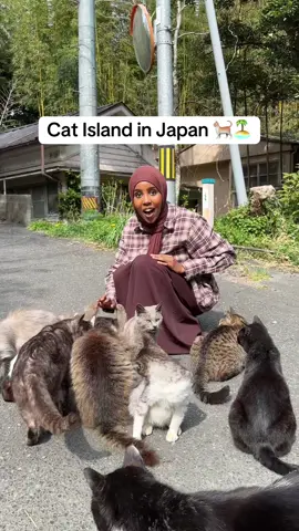 A post by @iconiccpinkk on TikTok caption: Would you visit Cat Island? #catisland #japantravel 