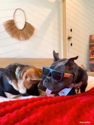 A post by @keemokazi on TikTok caption: Krodie got herself a rich boyfriend 😂 @Krodiekazi @HOUSE OF GUNTHER 