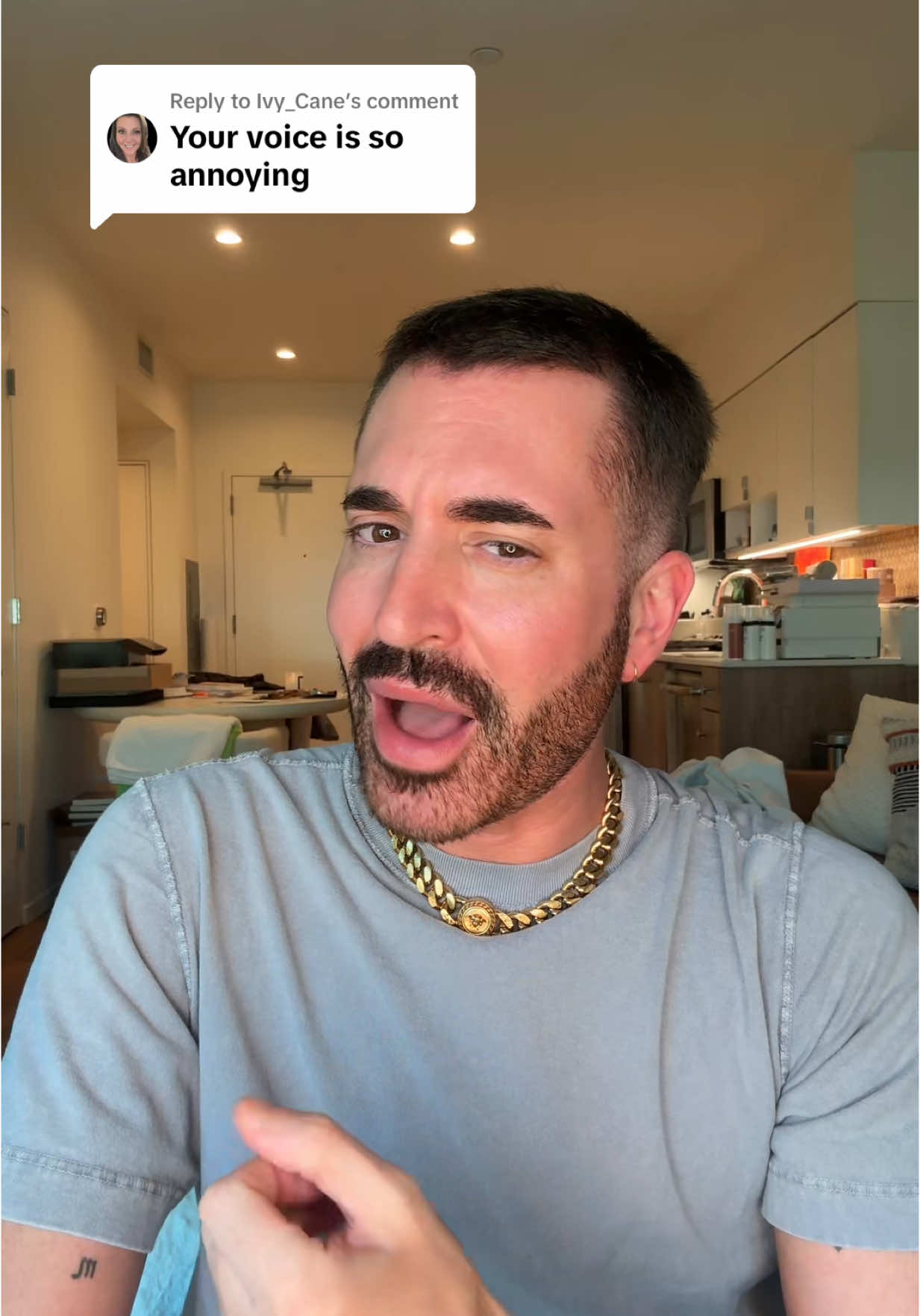 A post by @mvstevens on TikTok caption: Replying to @Ivy_Cane the audiobook for my debut novel: the last living diva, is available on @Audible and at iTunes ❤️ if you don’t know—the last living diva is inspired by my time assisting @Mariah Carey 🎶 think… the devil wears prada #book #BookTok #audiobook #audible #thedevilwearsprada 