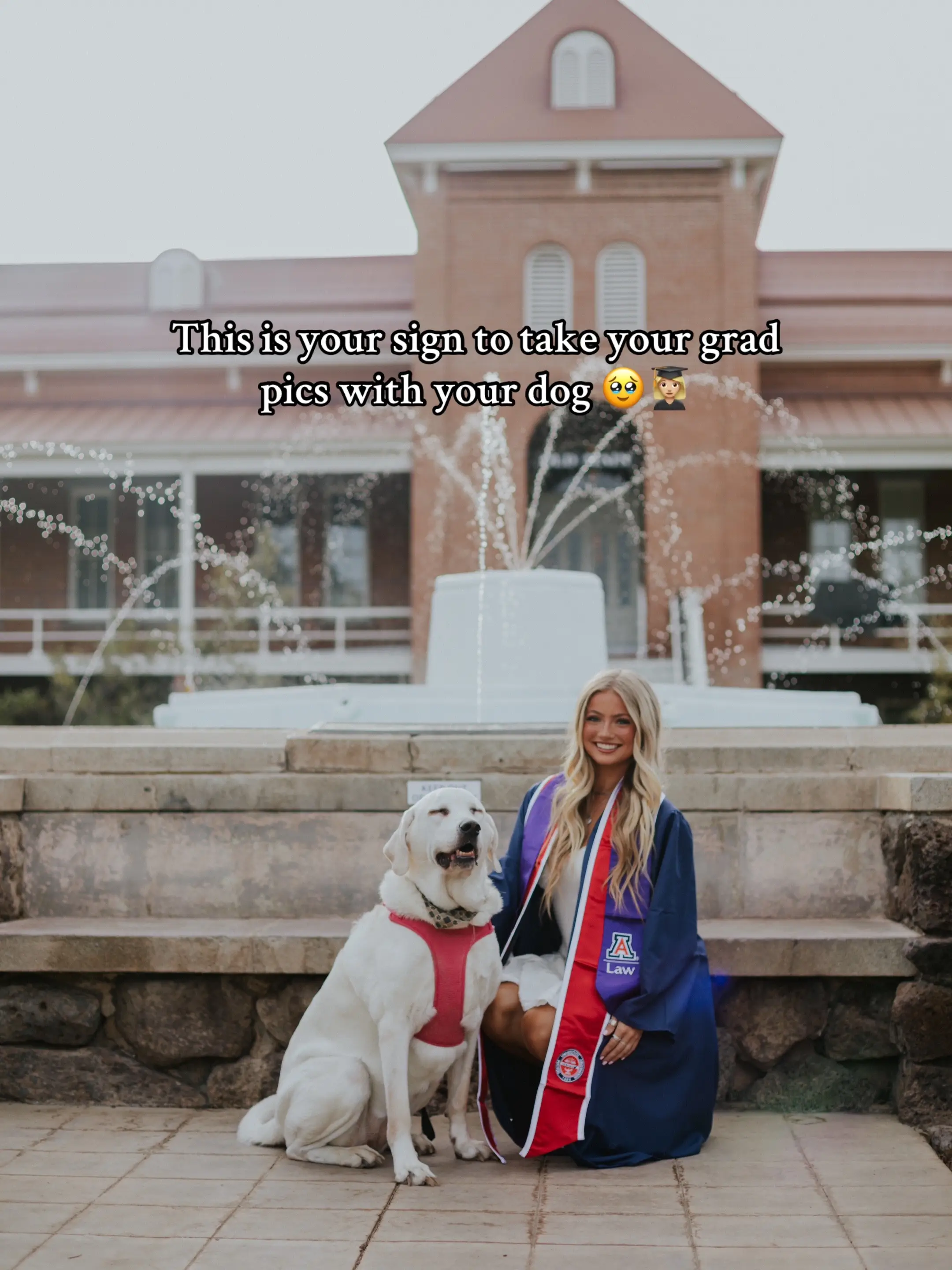 A post by @kambriella on TikTok caption: She graduated middle school, high school, and now college with me 😭 #gradpics #graduation #dogmom #seniorpictures #uofa #college 