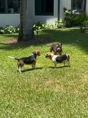 A post by @famousmisspeaches on TikTok caption: Play date!!!! I’m seeing double! #misspeaches 