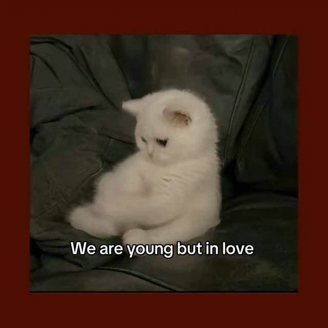 A post by @thoughtswithred on TikTok caption: #fyp #viral #redthoughts #Love 