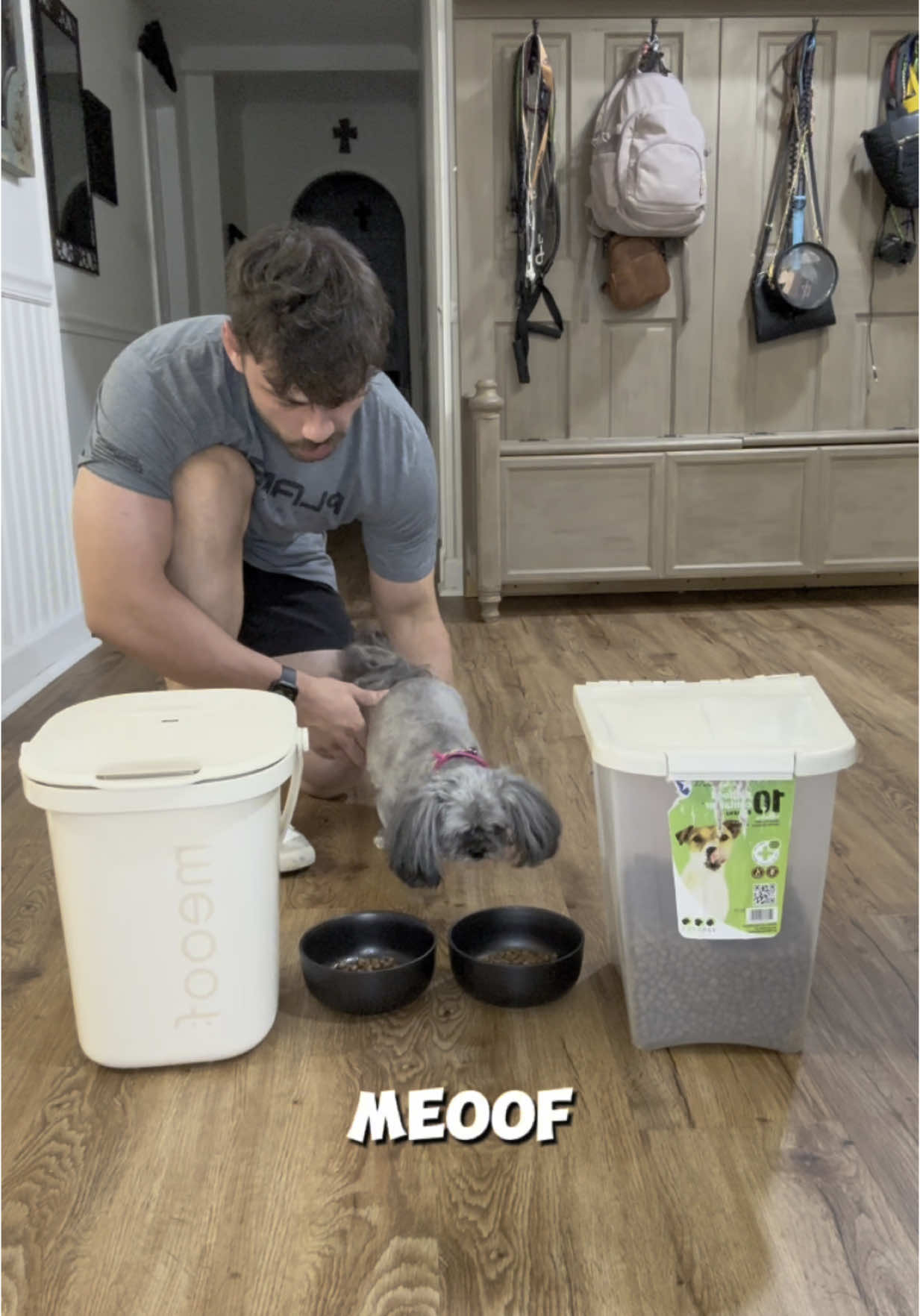 A post by @lilmfcurb on TikTok caption: You need Meoof🤝