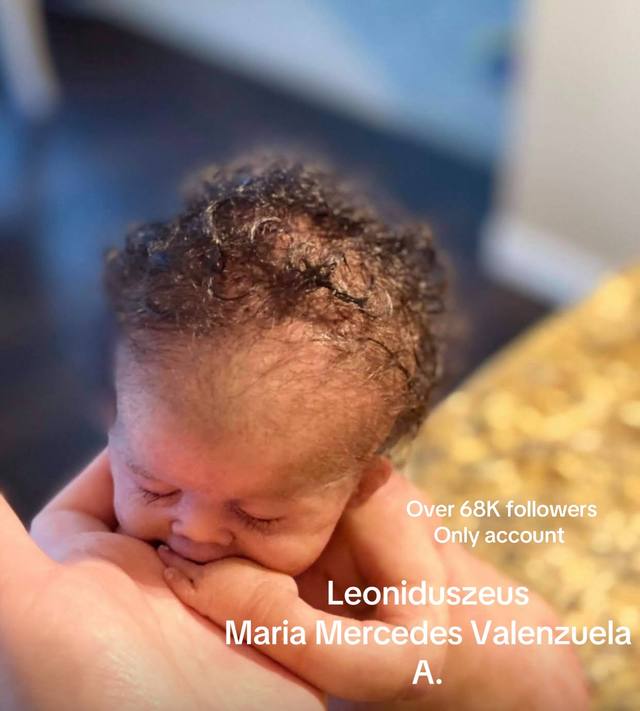 A post by @leoniduszeus on TikTok caption: #micopreemie #photography #showingrebornartistry #usa #siliconebabydoll #artistry #reborncommunity #realisticdolls #leoniduszeussiliconedollartist #rootinghairdoll #leoniduszeussiliconedollartist 