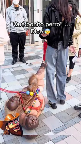 A post by @thepadrineithor on TikTok caption: Qué bonito perro dice… 😰😳