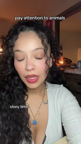 A post by @divinefeminine.777 on TikTok